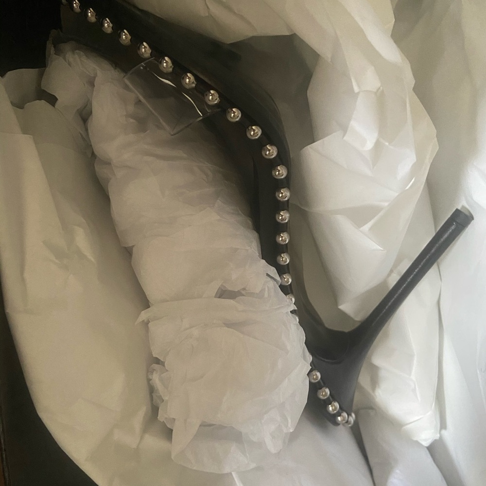 Brand new never Worn Alexander Wang